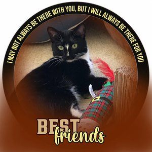 Meet your Posher, Crystal